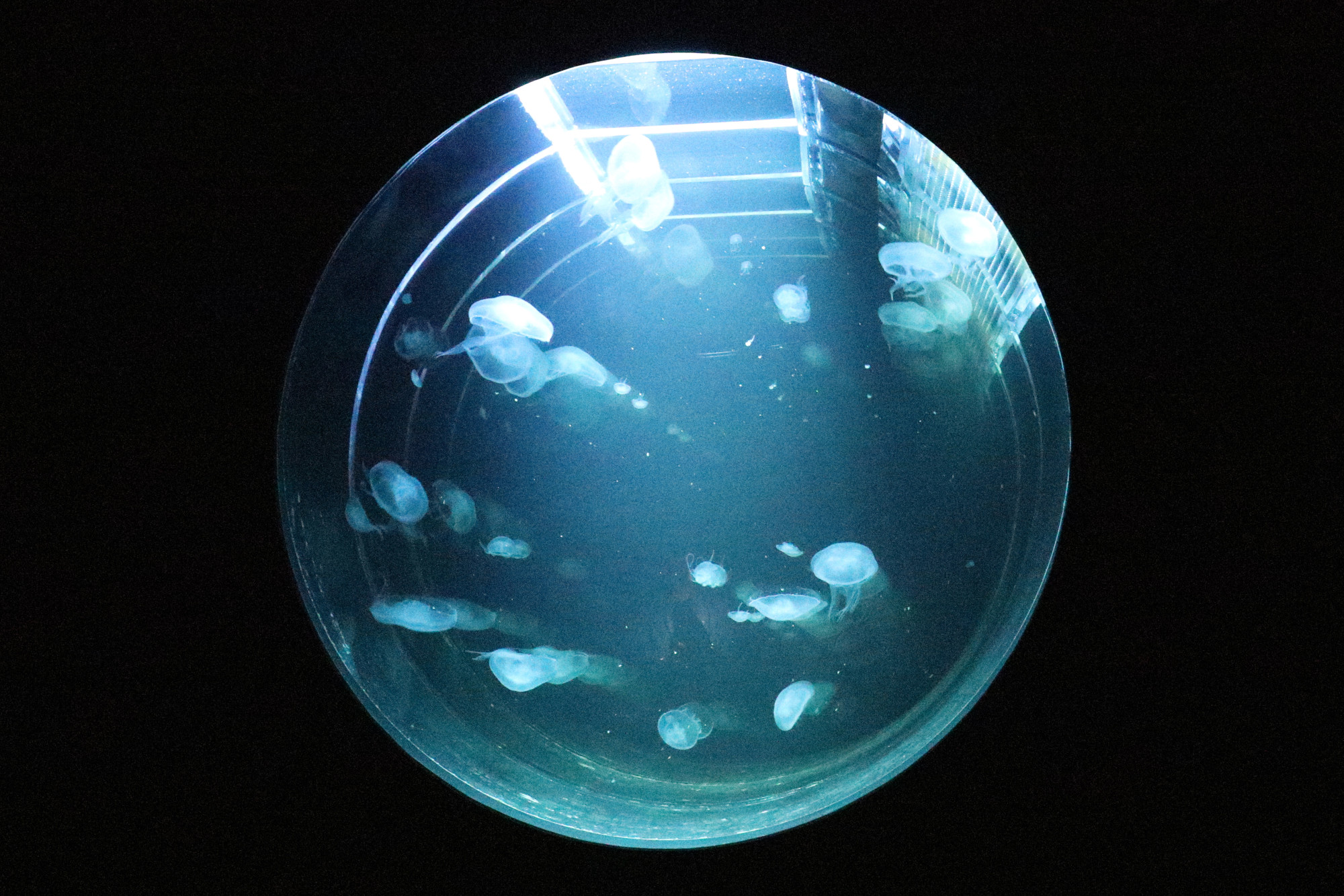 Kraken зеркало krakens13 at