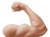 Kako odrediti da osoba ima kratke mišiće